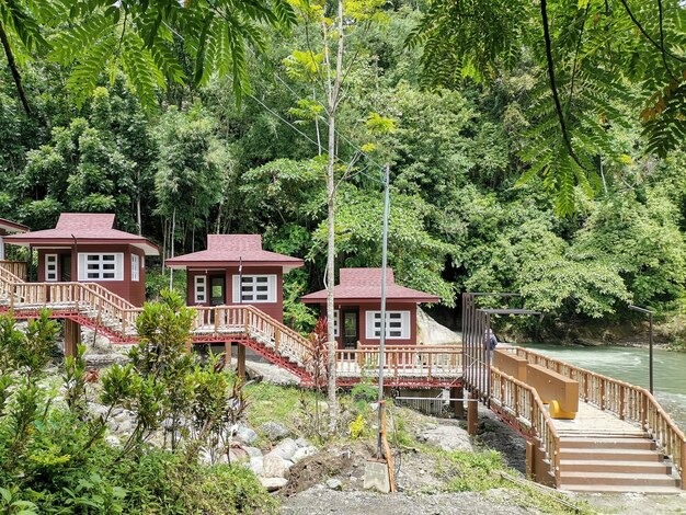 Omah Kayu Batu Malang – Menginap di Atas Pohon